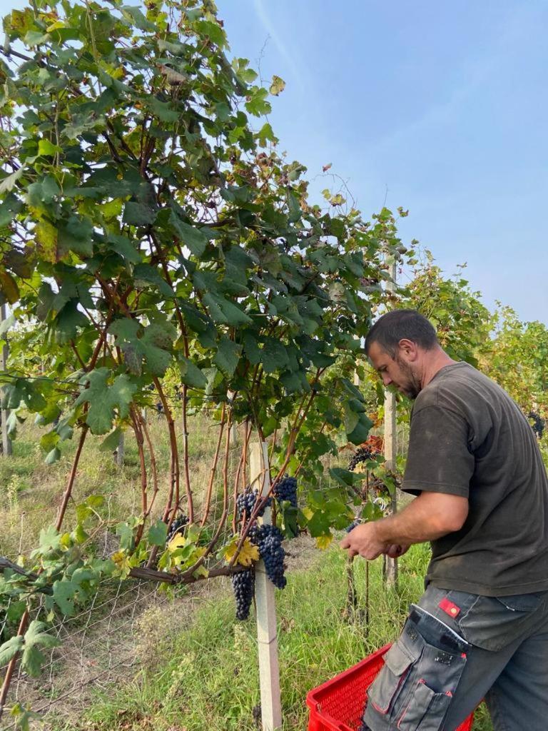 Agriturismo L'Antico Sapore Baraggia di Boca Eksteriør billede